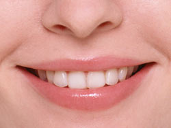 ���o�O�Ȃɂ��� �g�쎕�Ȉ�@