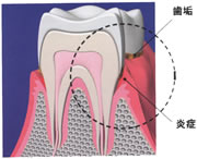 �T�� ������