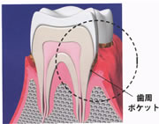 �U�� �y�x������