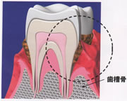 �V�� �����x������